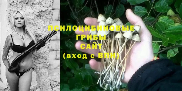 спайс Балабаново