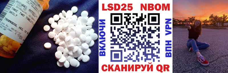 закладки  Суворов  гидра ссылка  Лсд 25 экстази ecstasy 