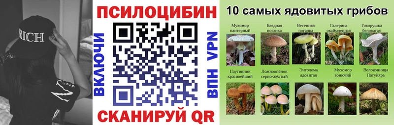 Галлюциногенные грибы Magic Shrooms  даркнет сайт  Суворов 